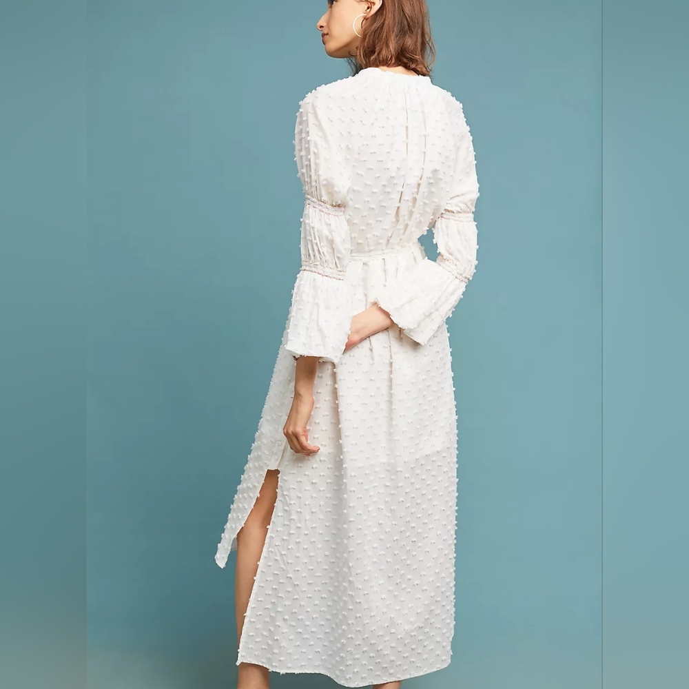 Anthropologie Where Mountains Meet Branson swiss dot embroidered high-low dress - Picture 2 of 10